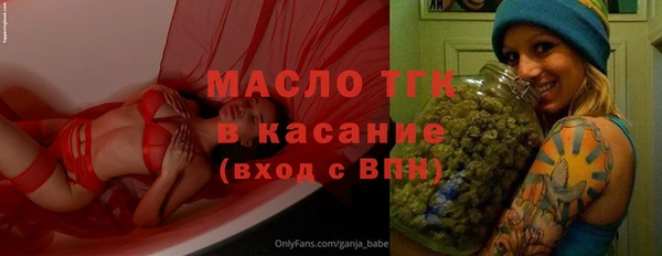 крисы Богородск