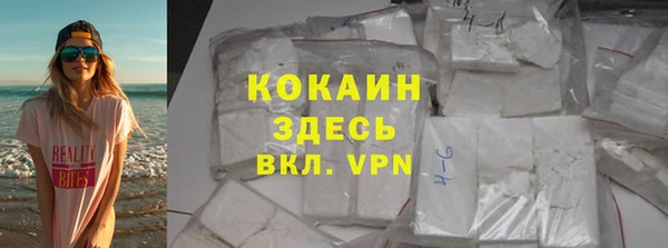 PSILOCYBIN Богданович