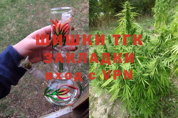 PSILOCYBIN Богданович