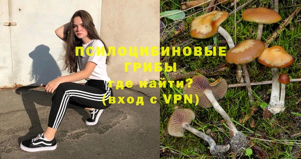 крисы Богородск