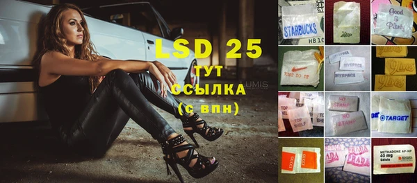 PSILOCYBIN Богданович