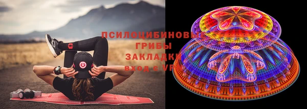 PSILOCYBIN Богданович