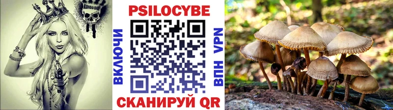 купить закладку  Нерчинск  Галлюциногенные грибы Magic Shrooms 