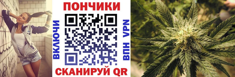гидра как войти  Нерчинск  Шишки марихуана ГИДРОПОН  купить закладку 